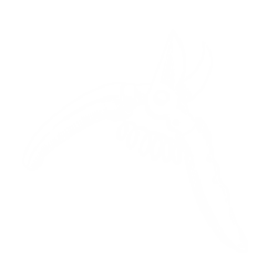 Emodeur